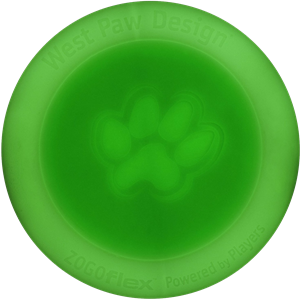 Frisbee PNG-44944